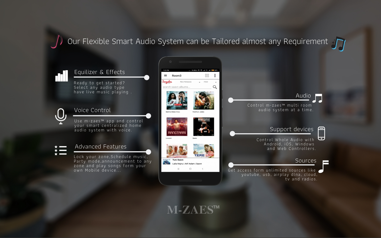 Multi Zone Audio System